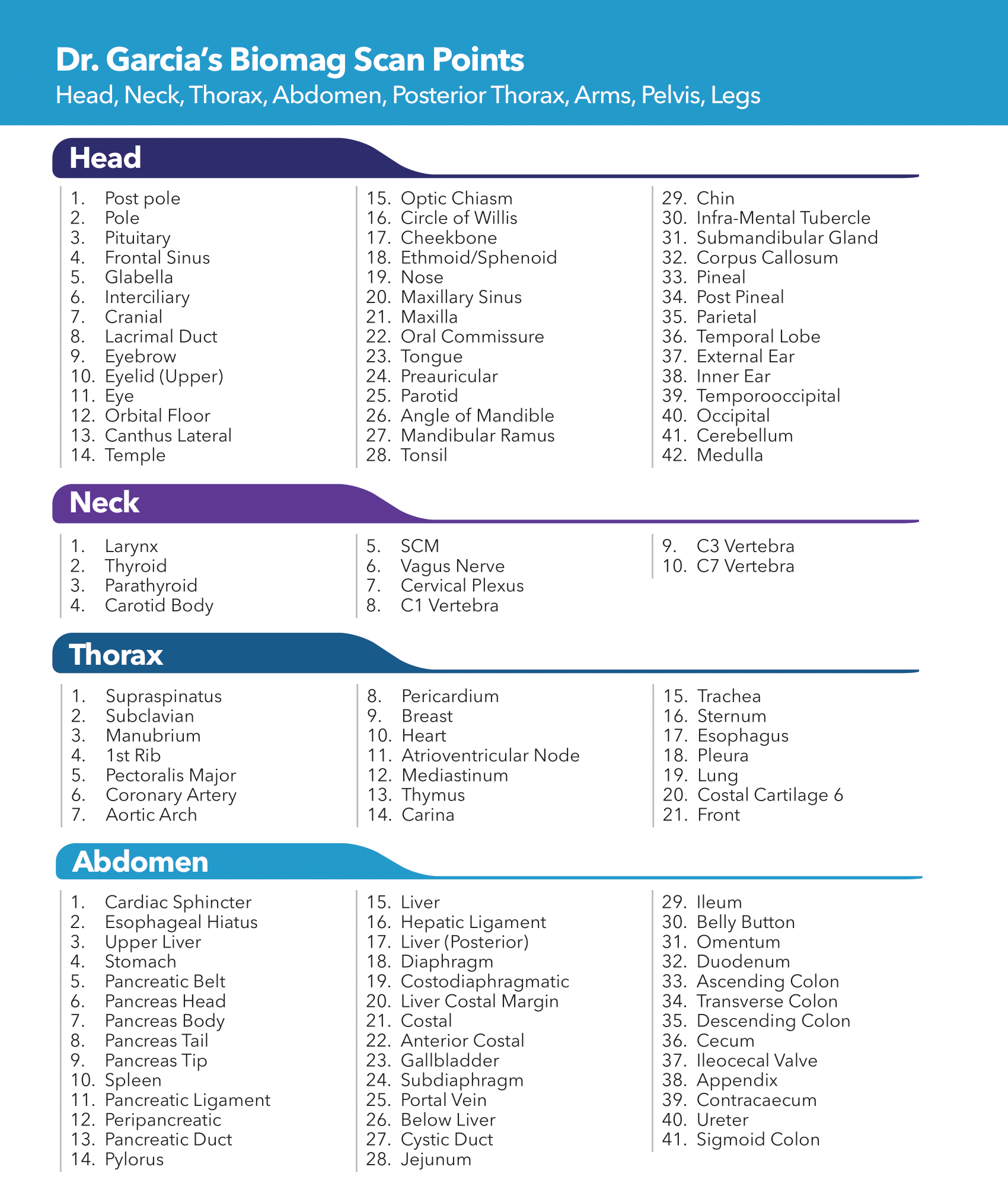 Temporary pairs uterus left guide