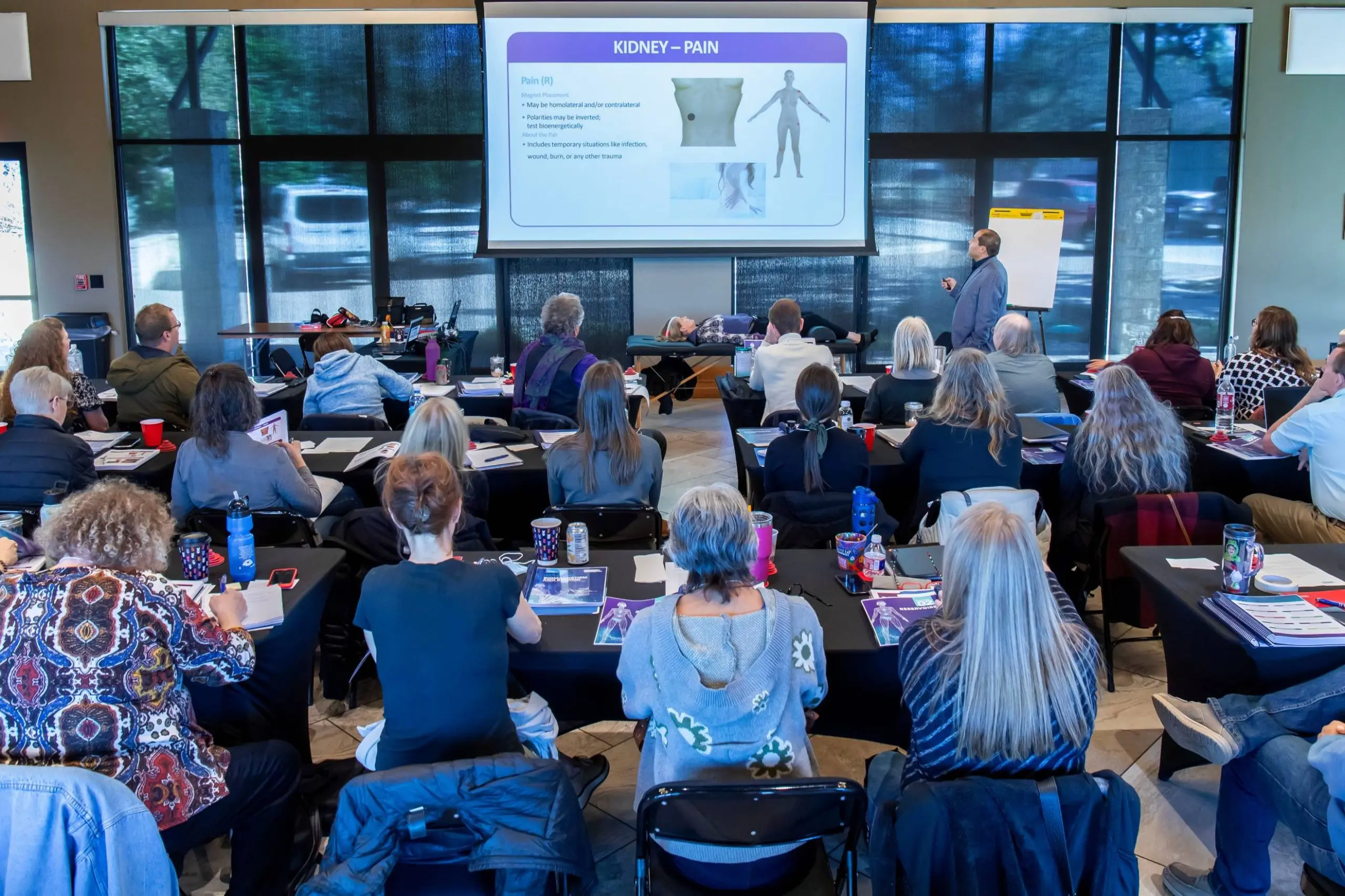 Biomagnetism training class session