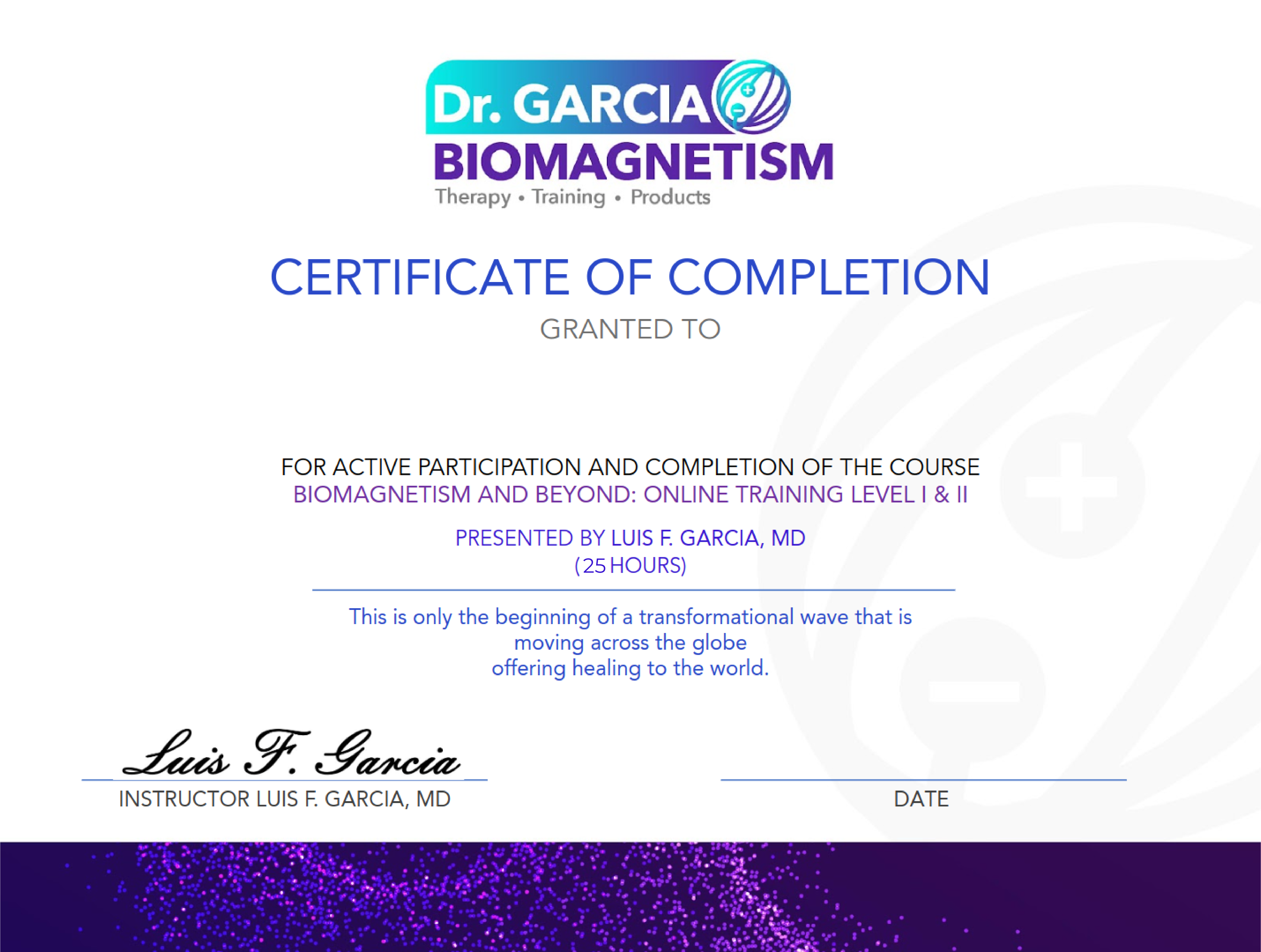 Biomagnetism and Beyond Level I and II Certification - Professional Training Certificate