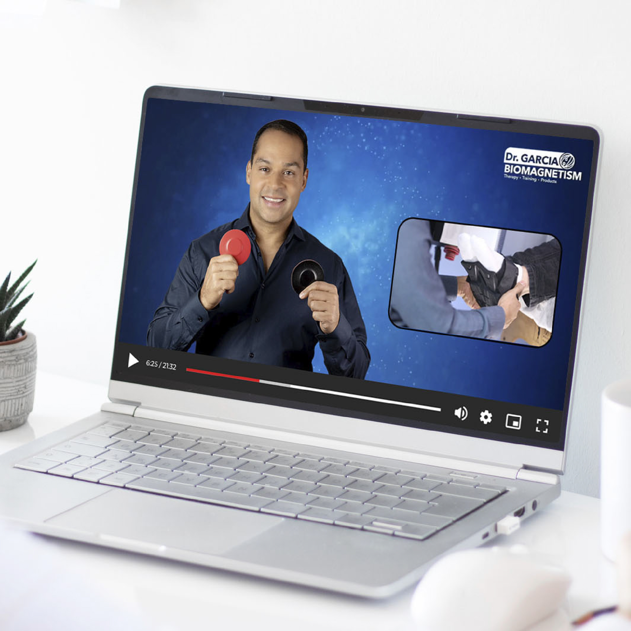 Best biomagnetism training comparison and curriculum overview visual